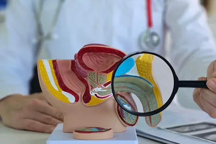 Penis Enlargement in Turkey: Methods, Surgery, Cost & Real Results